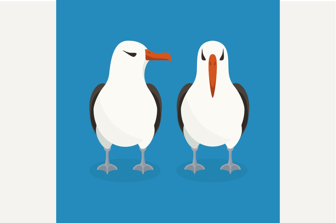 Two albatrosses are sitting cover image.