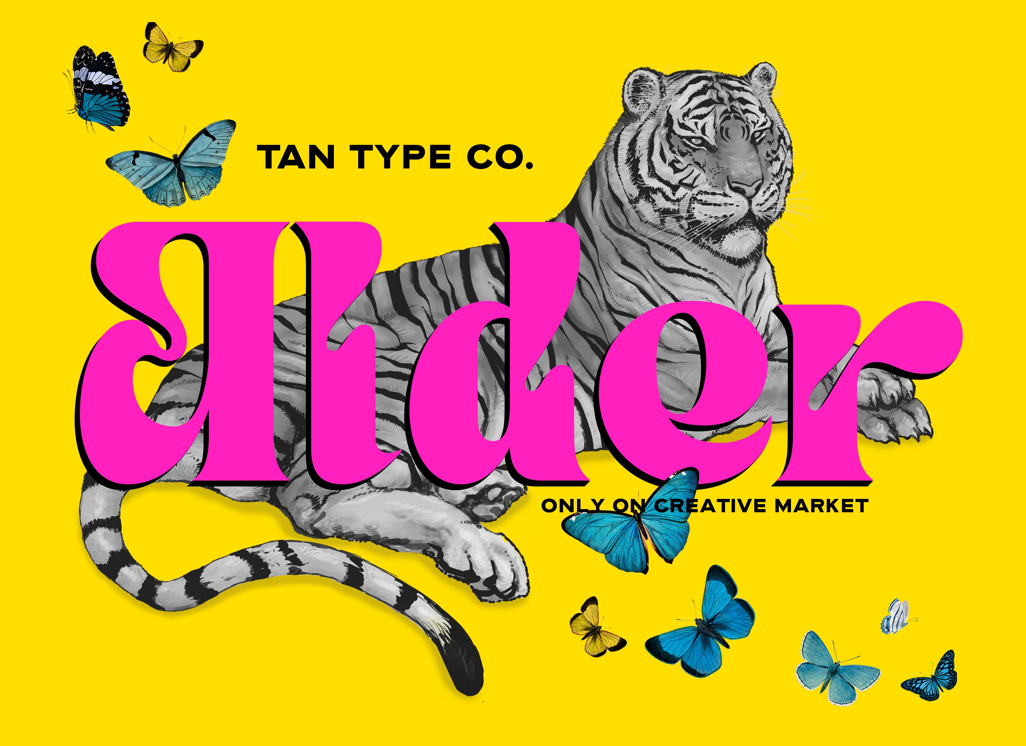 TAN - ALDER cover image.