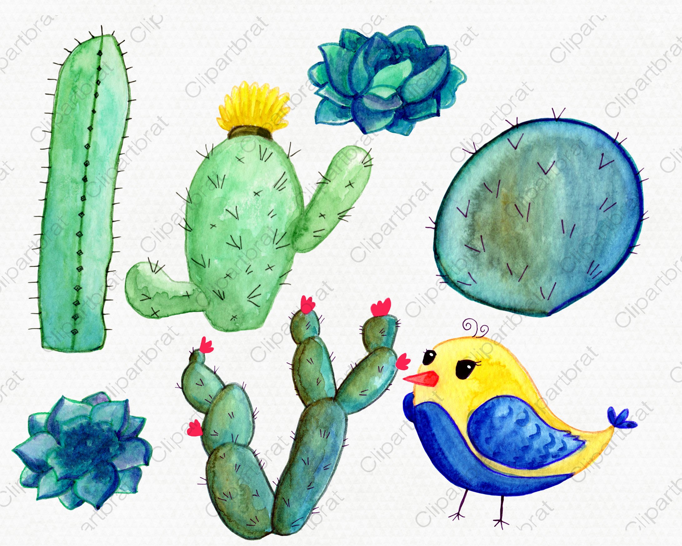 alpacawatercolor clipart layout3 976
