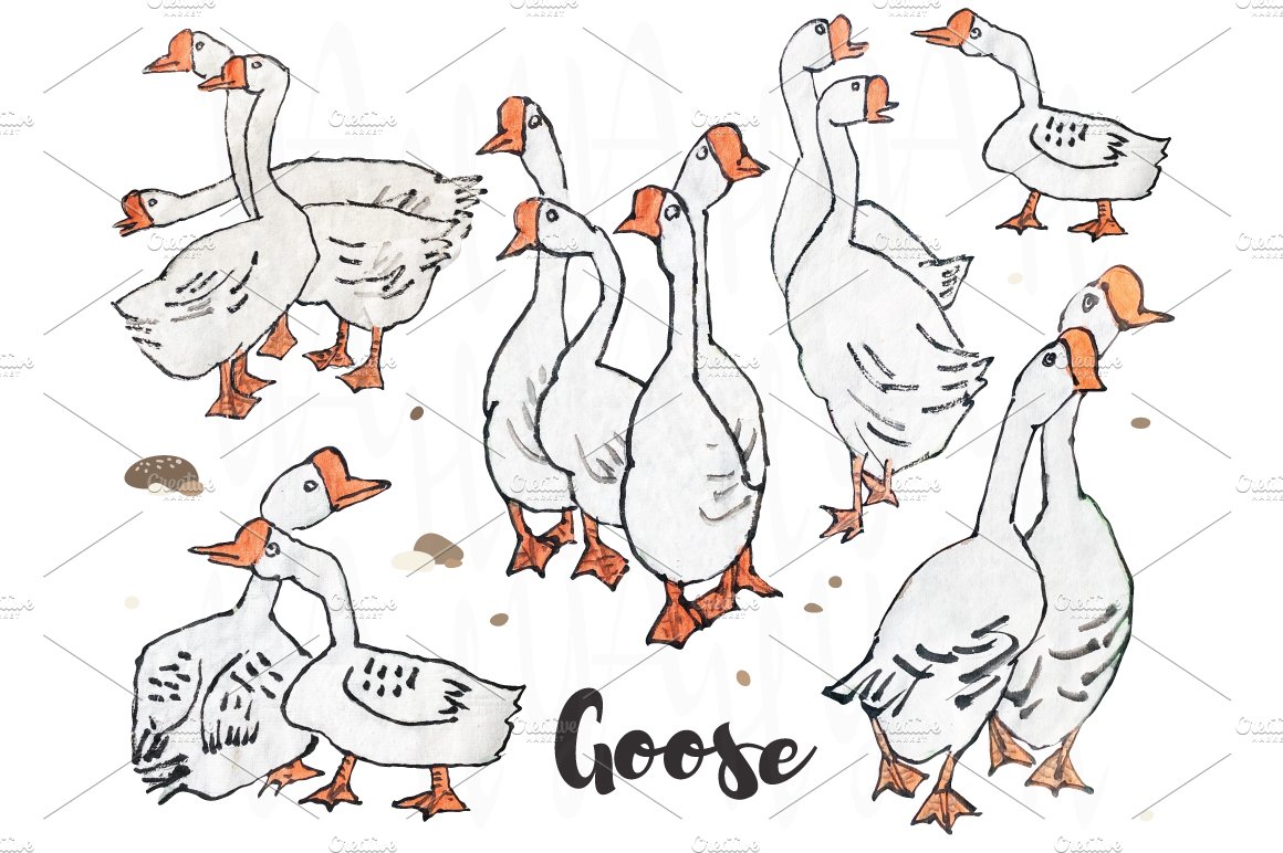 Cute Goose Collections Set preview image.
