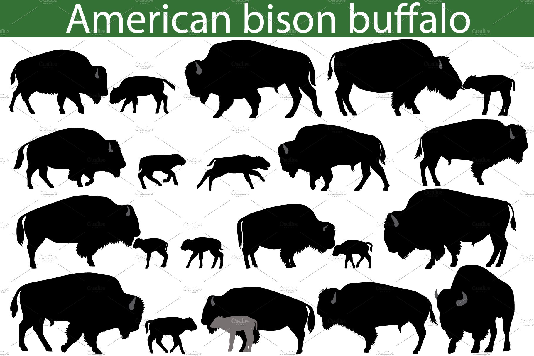 American bison buffalo silhouettes cover image.