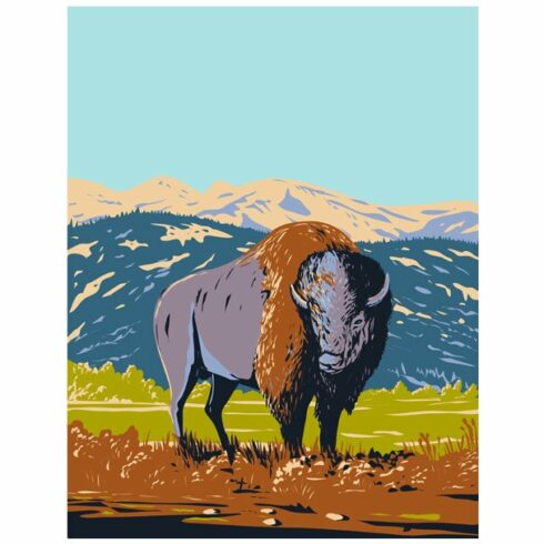 American Bison in Yellowstone WPA cover image.