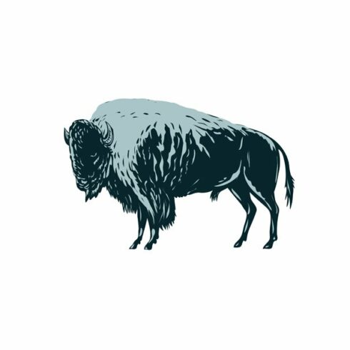 North American Bison or Buffalo WPA cover image.