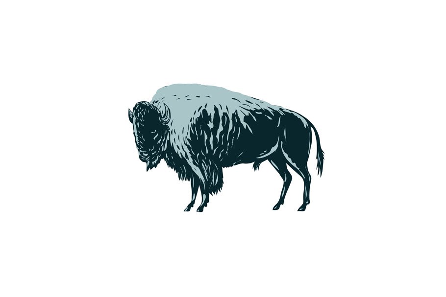 North American Bison or Buffalo WPA cover image.