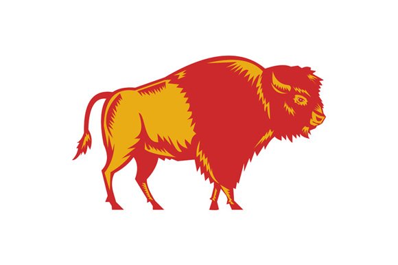 American Bison Side Woodcut cover image.