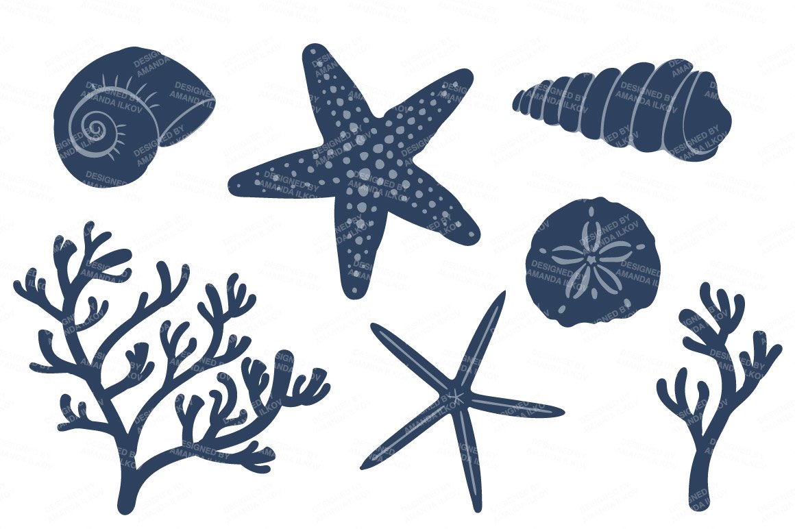 digital seashells clipart