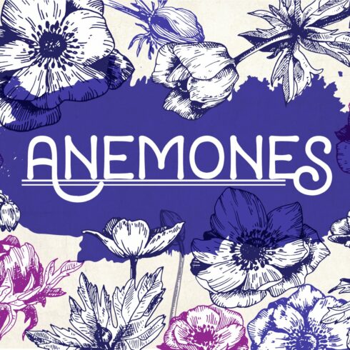 Anemones. Ink flower set cover image.
