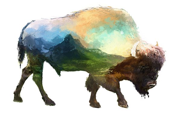 Double exposure set | Bison cover image.
