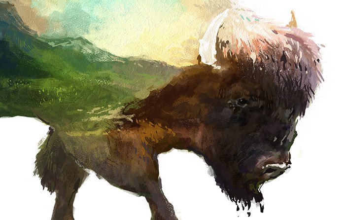 Double exposure set | Bison preview image.