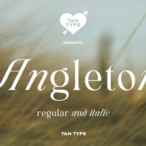 TAN - ANGLETON cover image.