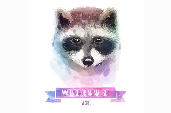 Watercolor set of animals | Raccoon cover image.
