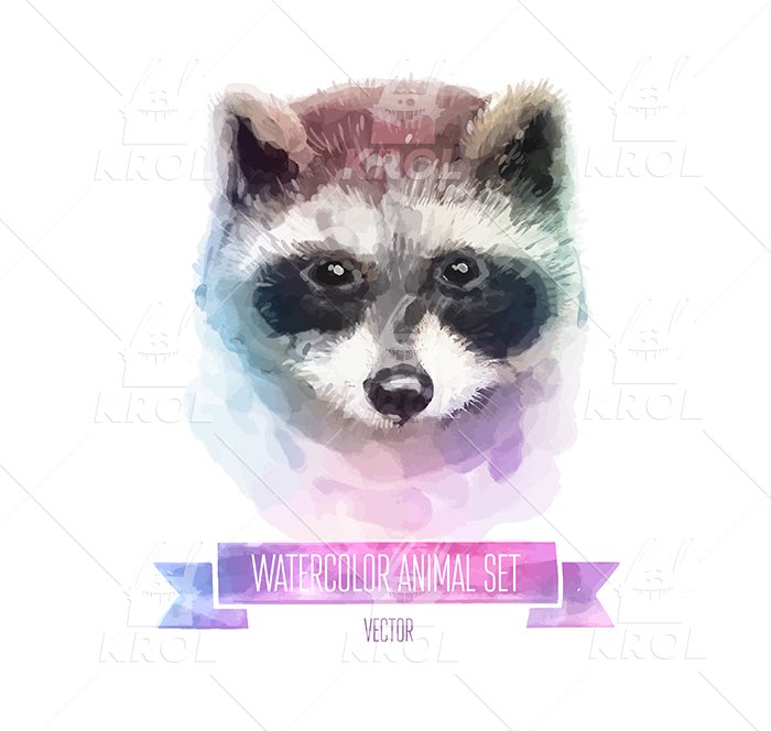 Watercolor set of animals | Raccoon preview image.