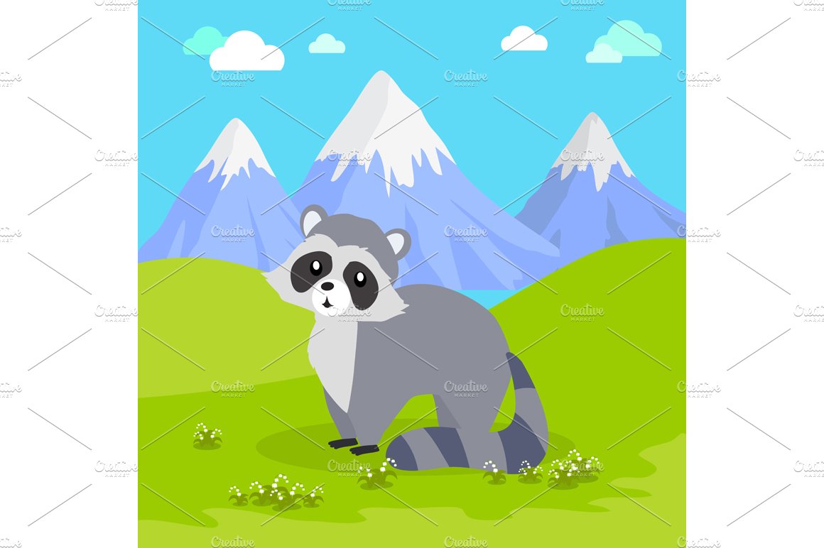 Funny Raccoon Illustration cover image.