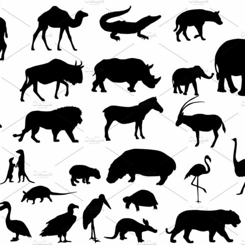 Animals of Africa cover image.