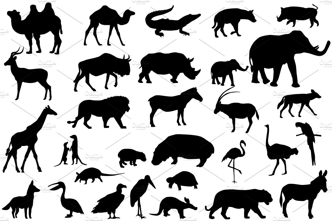 Animals of Africa cover image.