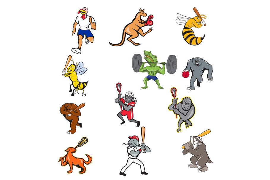 Animal Sports Cartoon Full Body Set cover image.