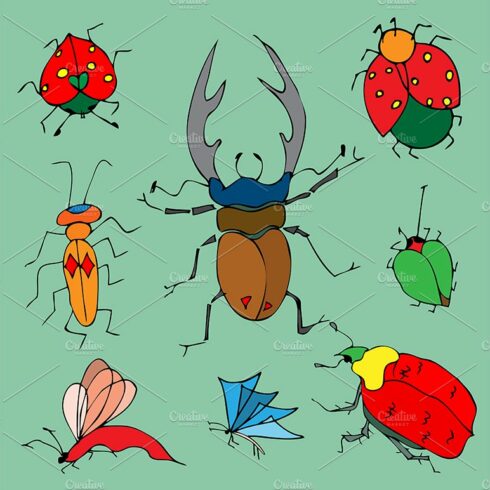 Set of colorful bugs. cover image.