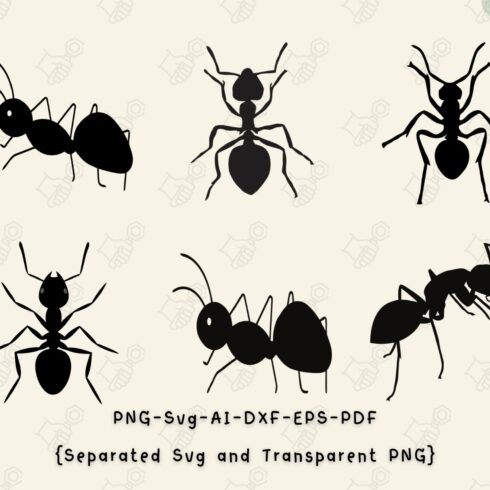 Ant SVG, Black Ant, Ants SVG, Ant cover image.