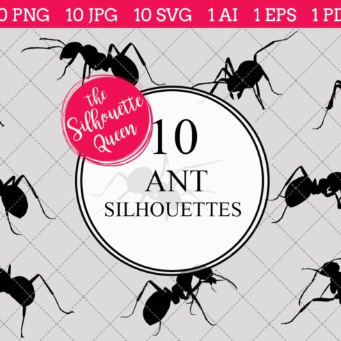 Ant Silhouette Vector Graphics cover image.