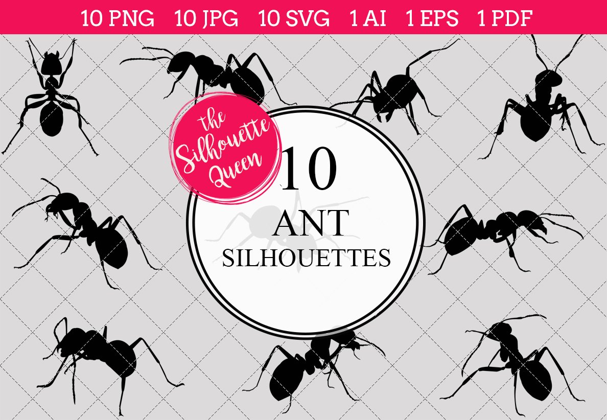 Ant Silhouette Vector Graphics cover image.