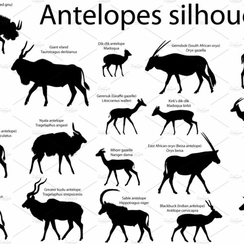 Antelopes silhouette cover image.