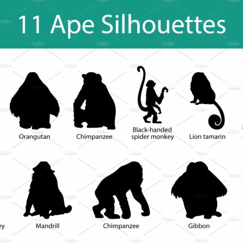Ape Silhouette Set cover image.