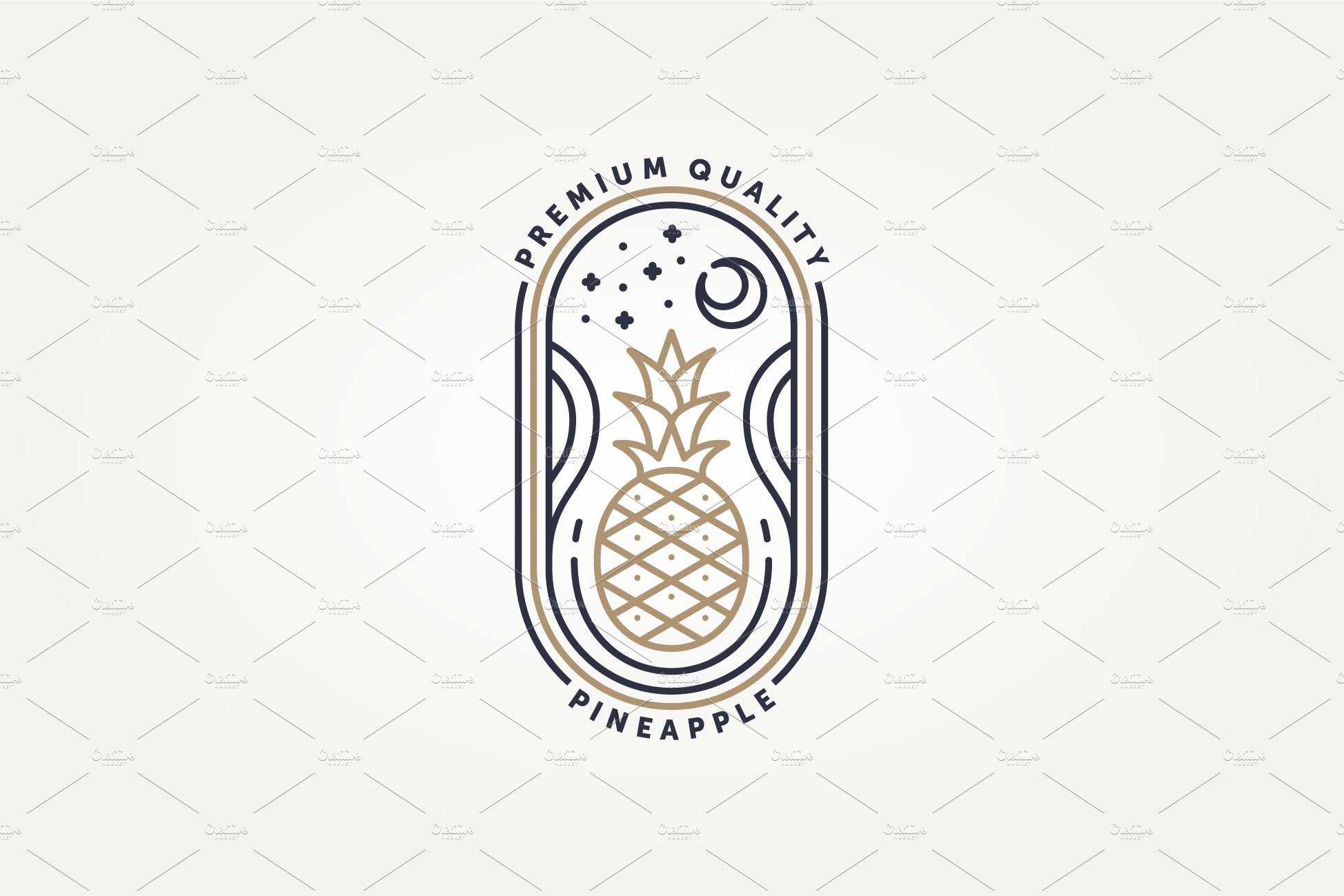 pineapple fruit line art icon logo cover image.