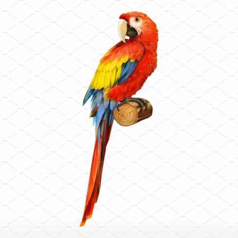 Ara parrot. Macaw. 3d vector icon cover image.