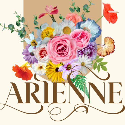 Arienne - Serif Typeface cover image.