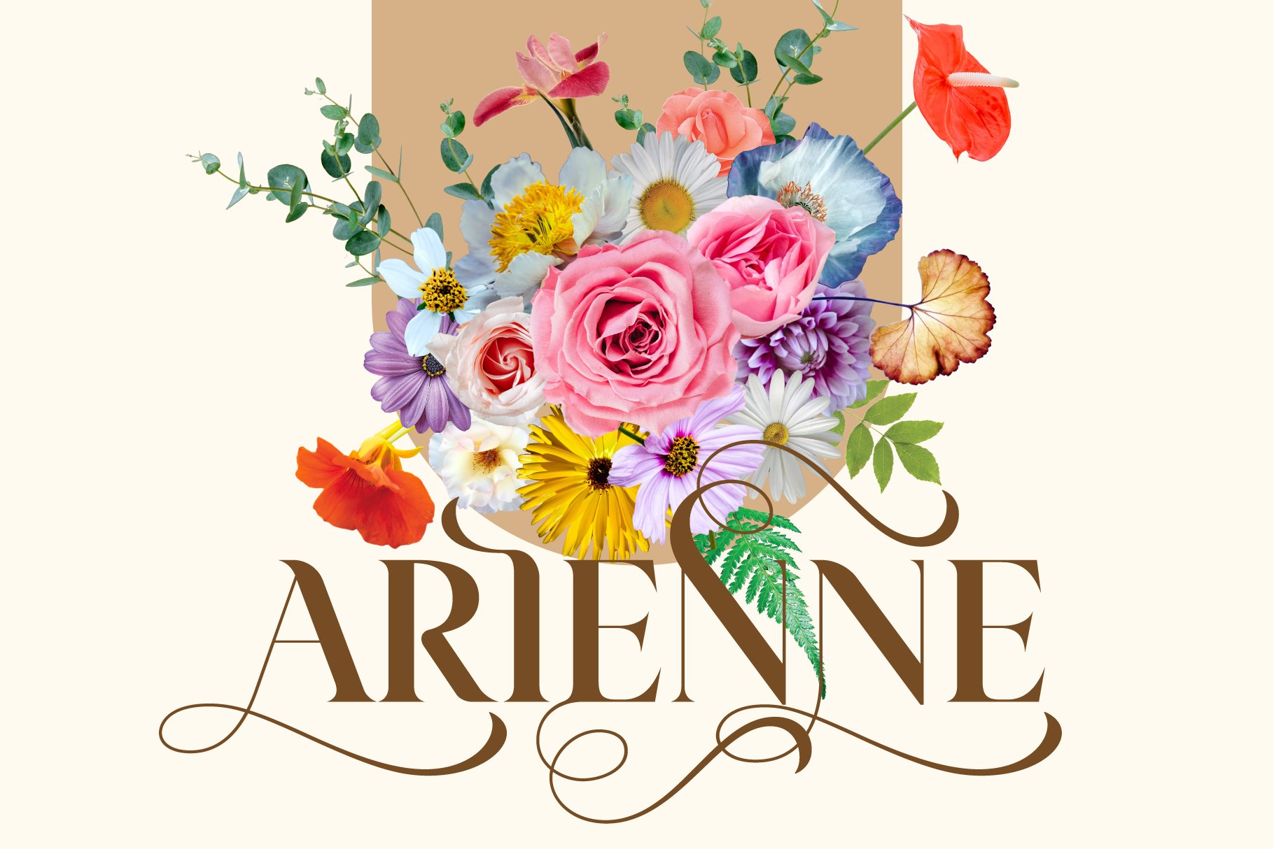 Arienne - Serif Typeface cover image.