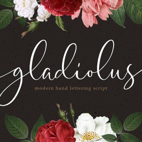 Gladiolus - Modern Calligraphy cover image.