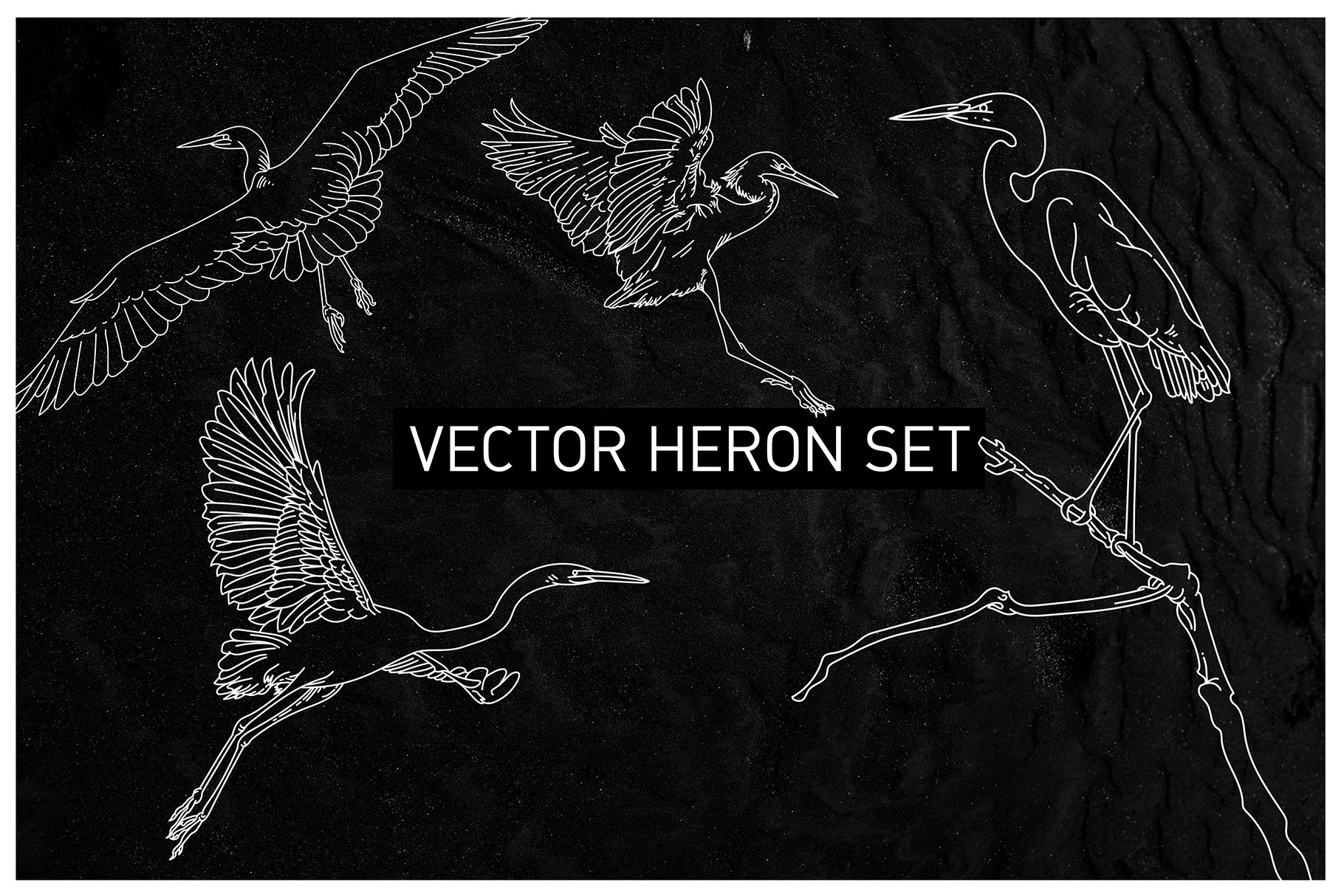 Vector Heron Set cover image.