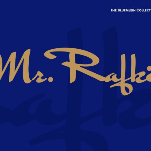 Mr Rafkin Pro cover image.