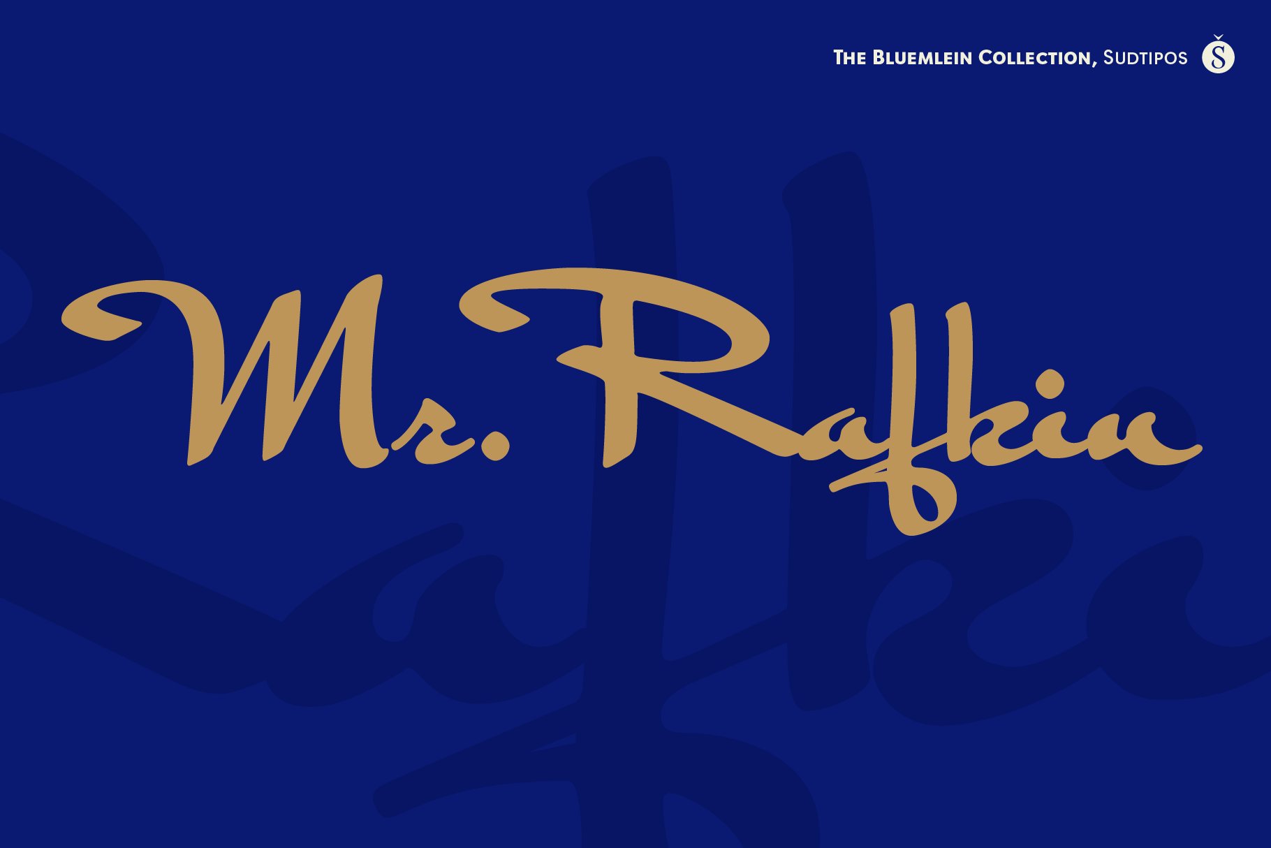Mr Rafkin Pro cover image.