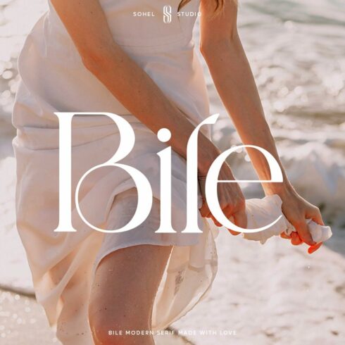 Bile - Modern Elegant Serif cover image.