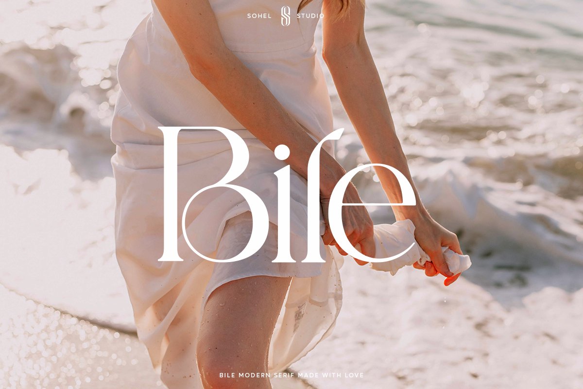 Bile - Modern Elegant Serif cover image.