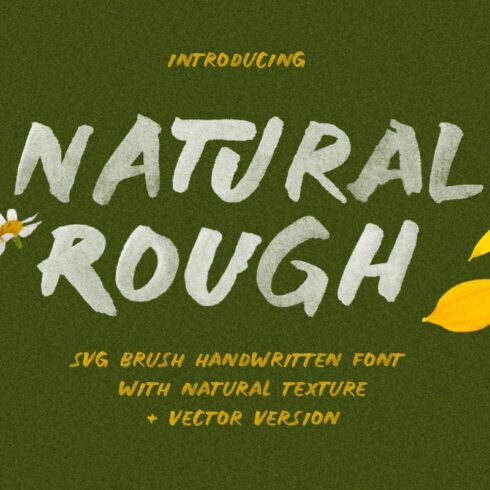 Natural Rough- SVG Handwritten Font cover image.