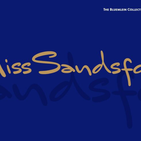 Mr Sandsfort Pro cover image.