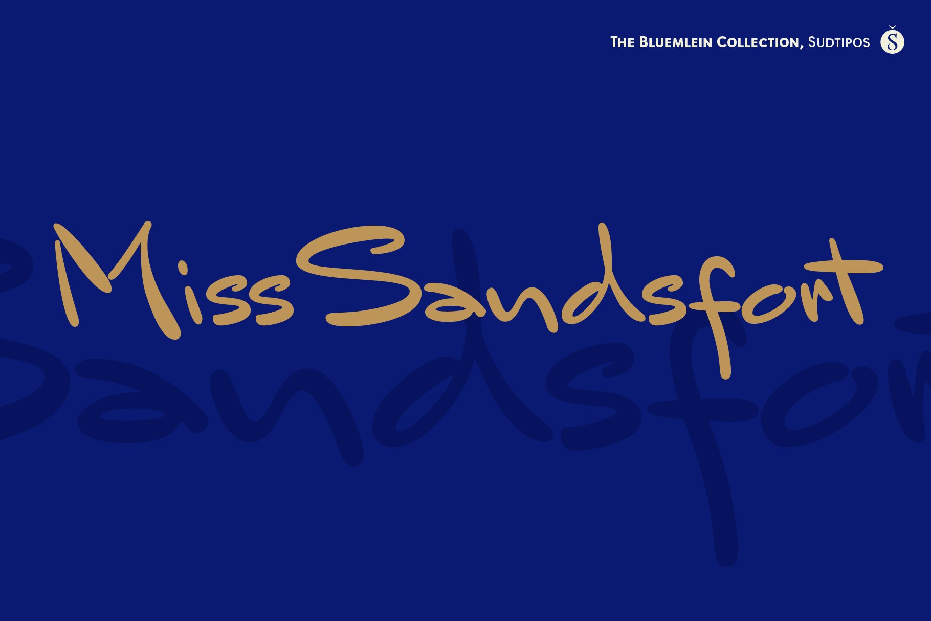 Mr Sandsfort Pro cover image.