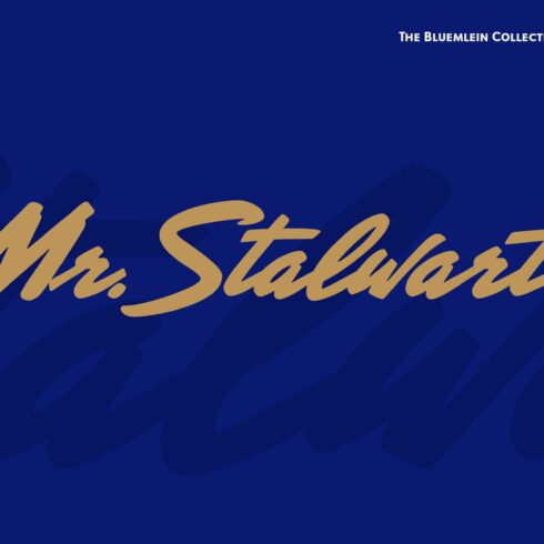 Mr Stalwart Pro cover image.