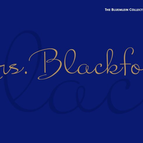 Mrs Blackfort Pro cover image.