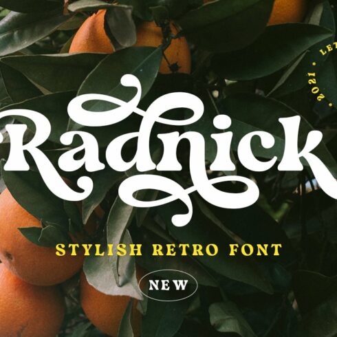 Radnick - Stylish Retro Font cover image.