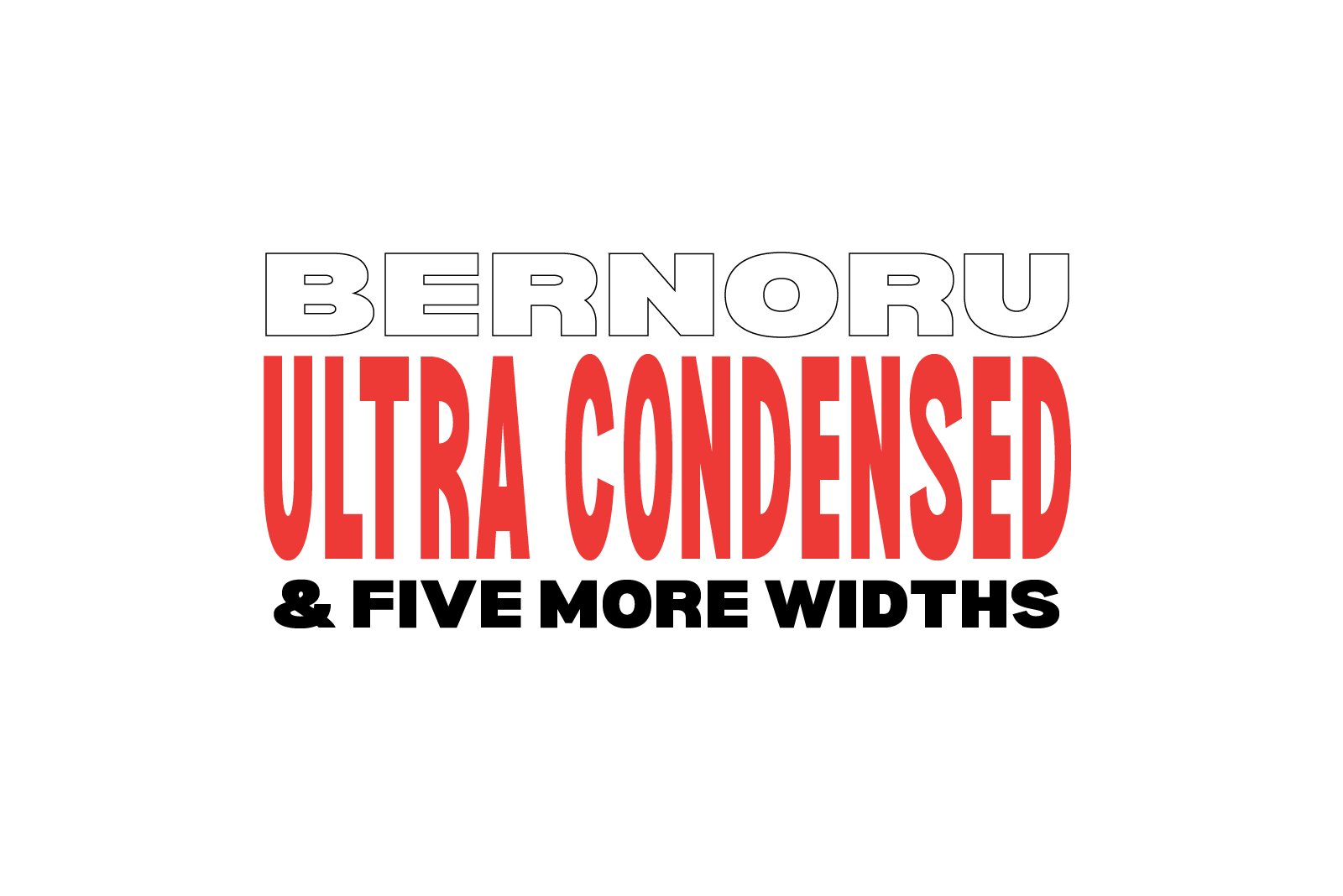 Bernoru Sans Font Family preview image.