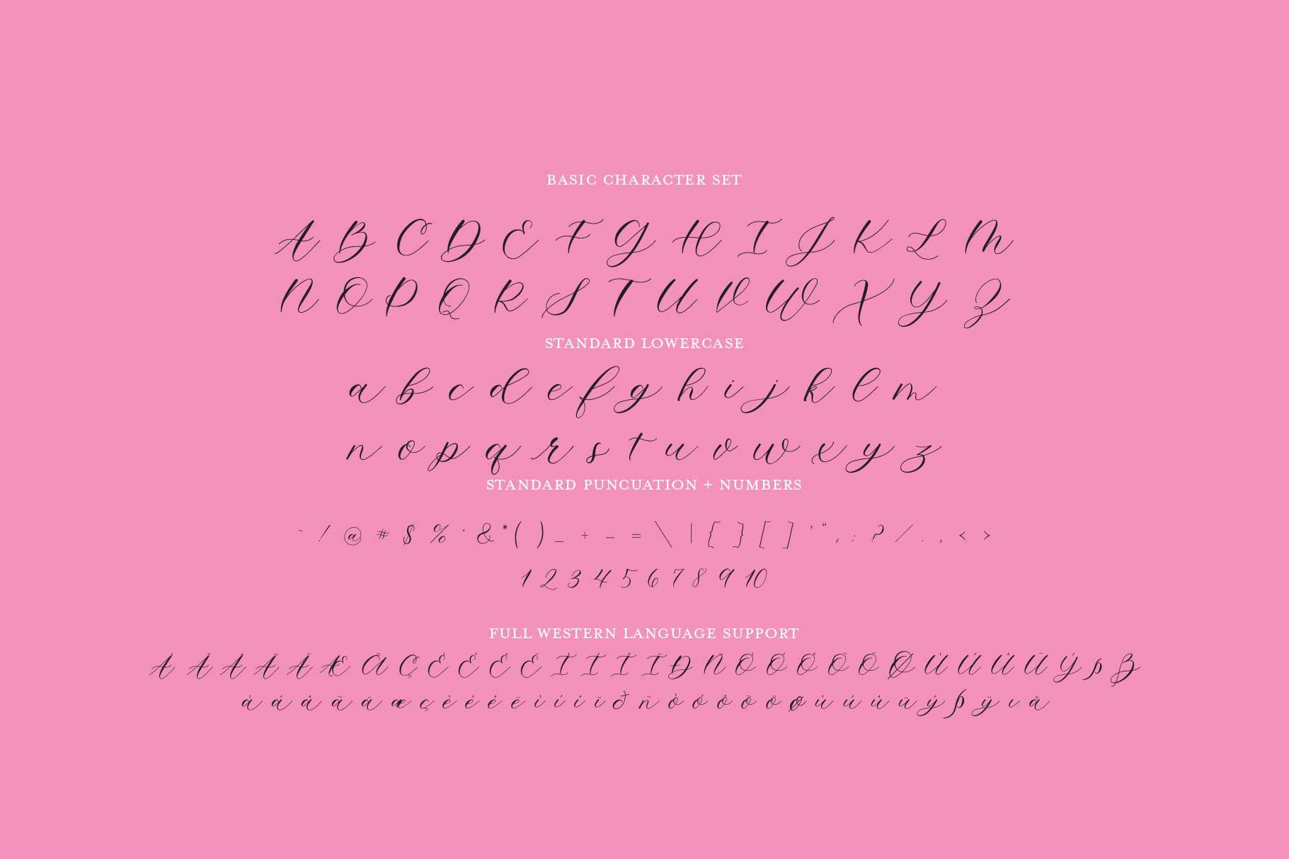 Lemon Squeezy Calligraphy Font preview image.