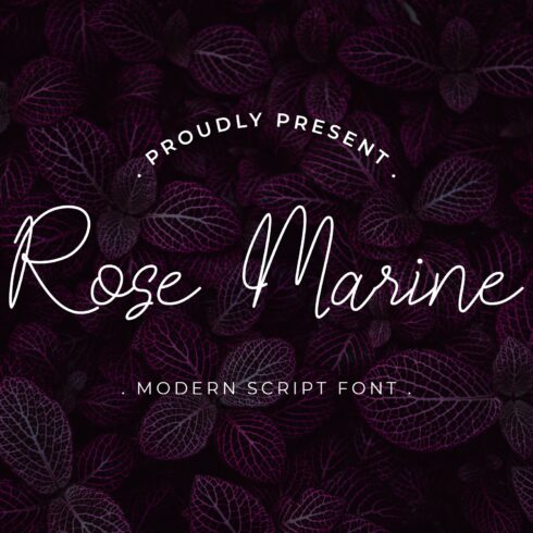 Rose Marine Signature Font cover image.