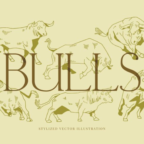 Stylized vector bull illustrations cover image.