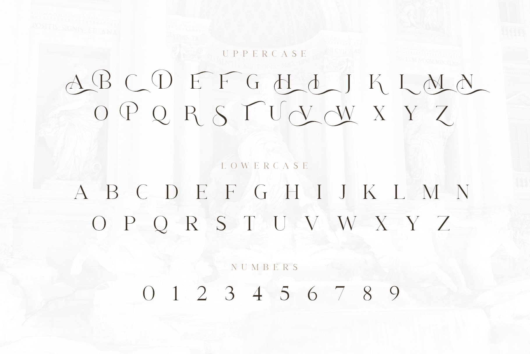 athena stylish serif preview cm4 371