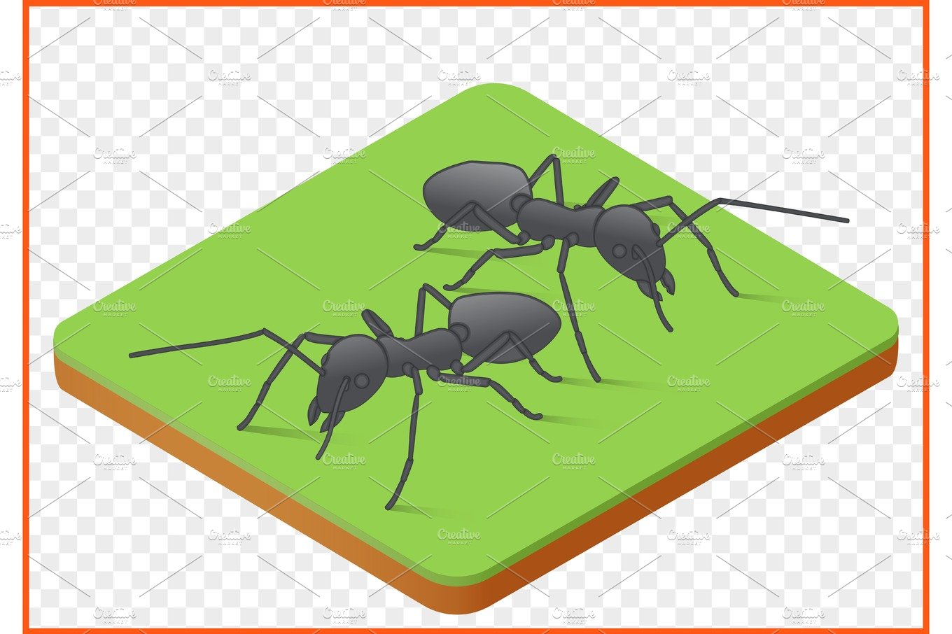 ants vector picture cover image.