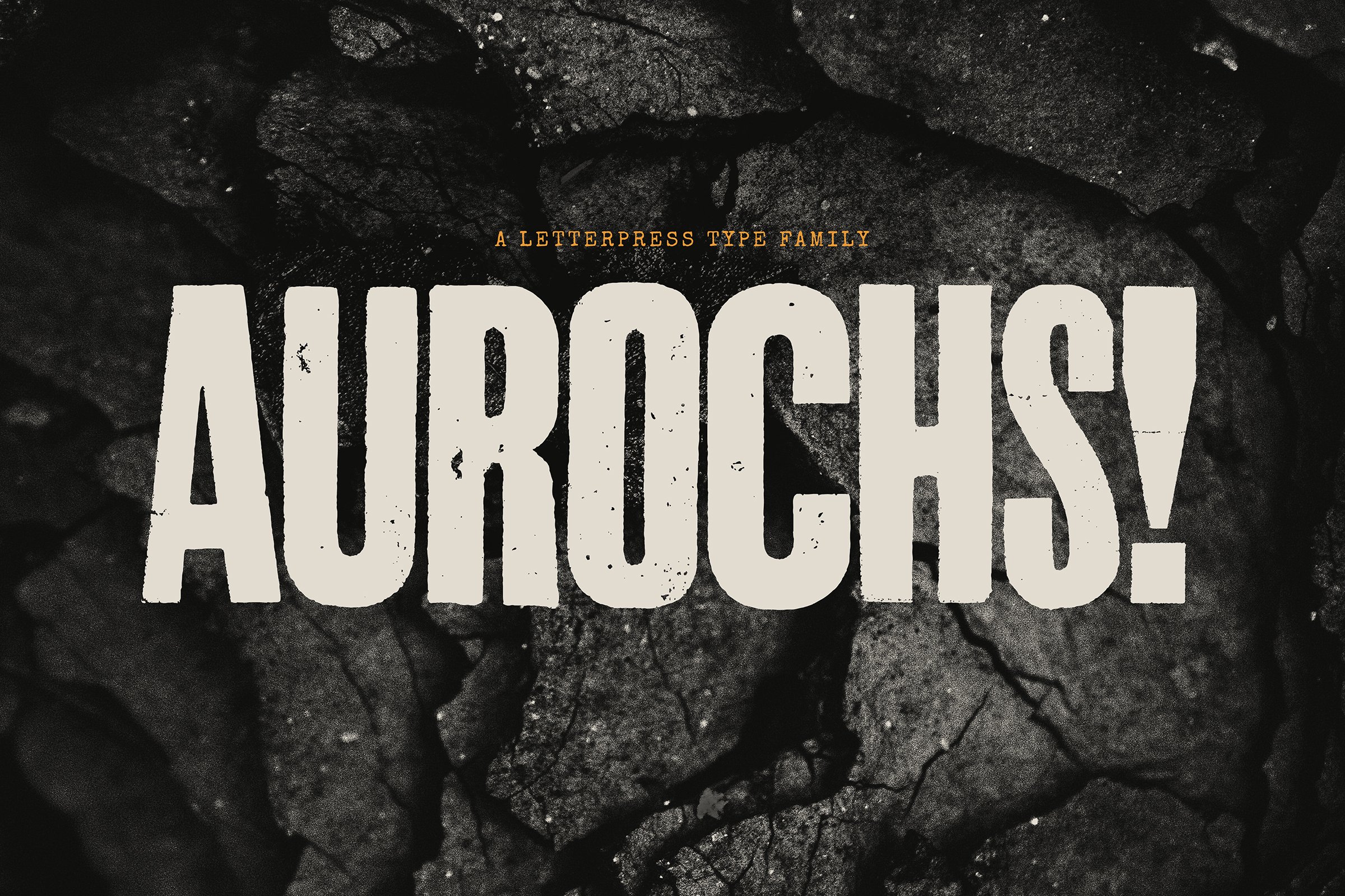 Aurochs: letterpress type family cover image.