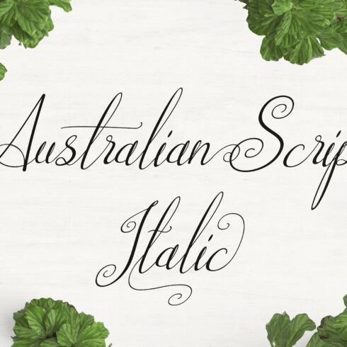 Australian Script Italic cover image.